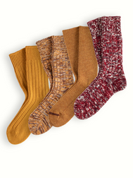 HEARTHSIDE HARVEST-Large (39-45)